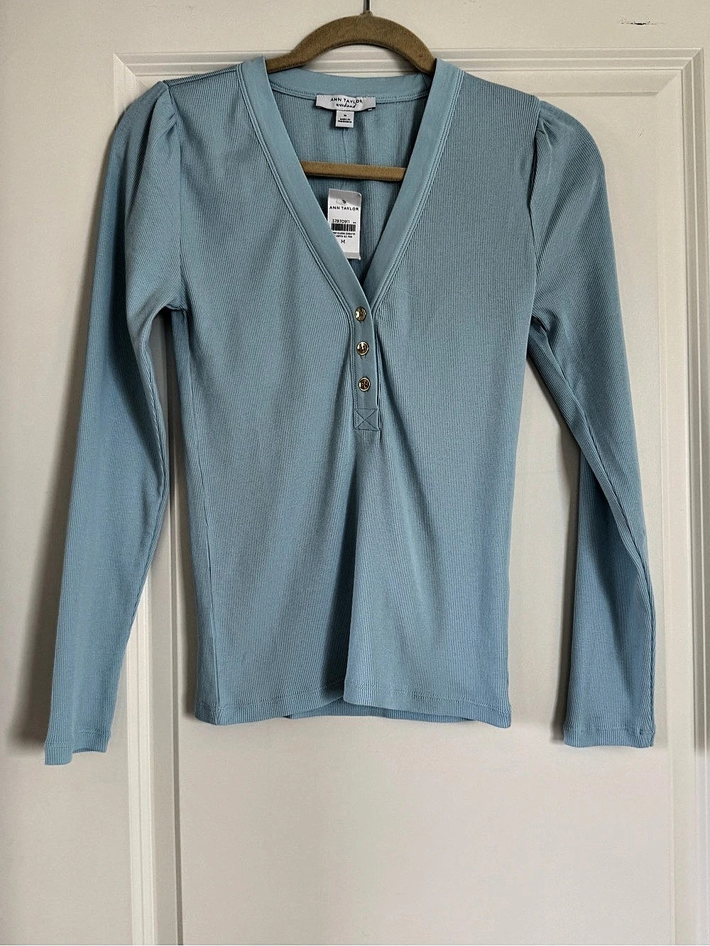 NWT Ann Taylor V-Neck Long Sleeve Top in Light Blue Size M